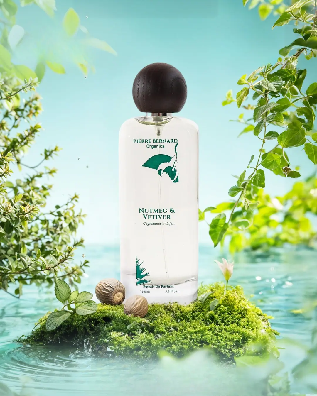 NUTMEG & VETIVER PerfumeImage