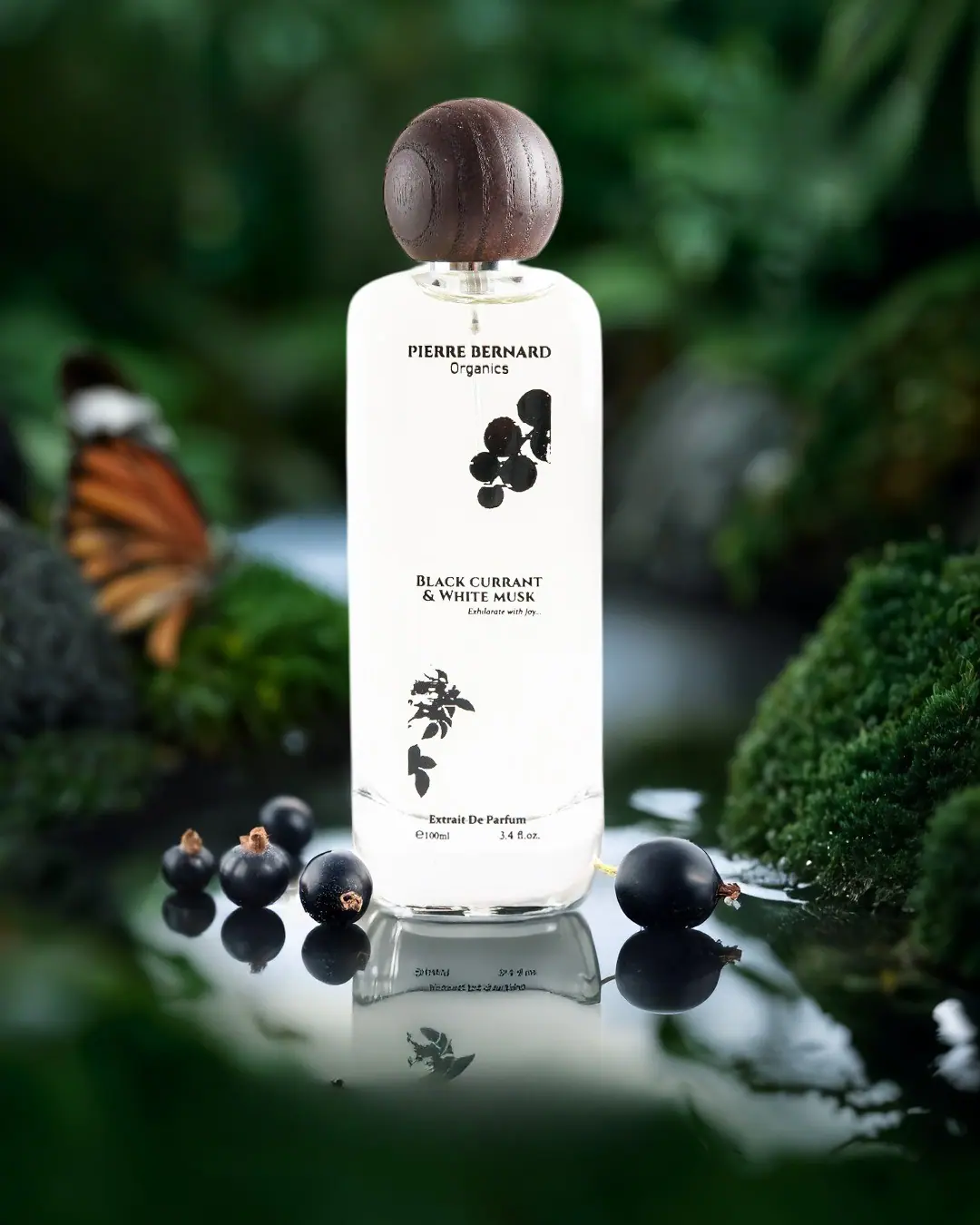 BLACK CURRANT & WHITE MUSK Perfume Image